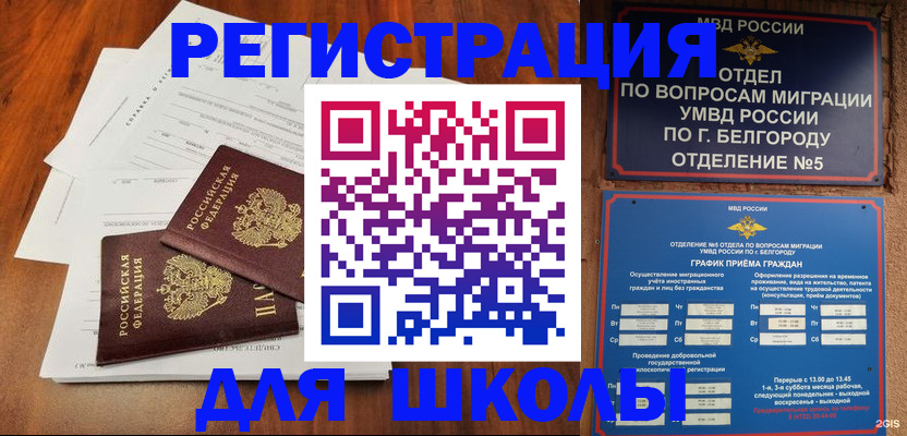 прописка поиск в Звенигово